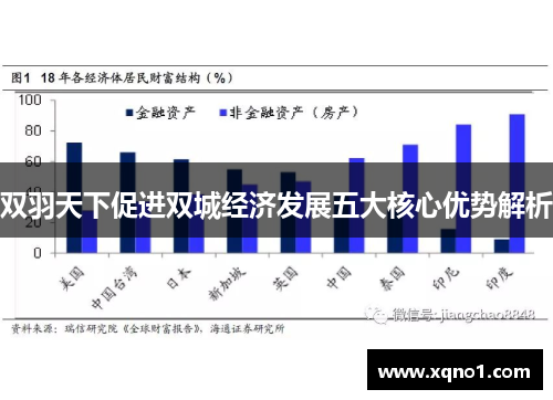 双羽天下促进双城经济发展五大核心优势解析