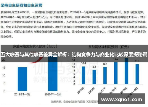 五大联赛与其他联赛差异全解析：结构竞争力与商业化比较深度探秘篇