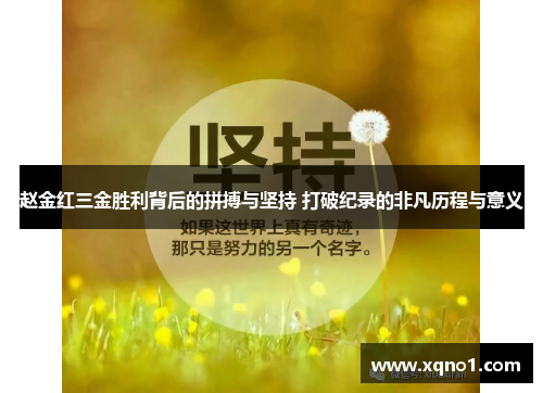 赵金红三金胜利背后的拼搏与坚持 打破纪录的非凡历程与意义