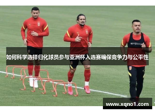 如何科学选择归化球员参与亚洲杯入选赛确保竞争力与公平性